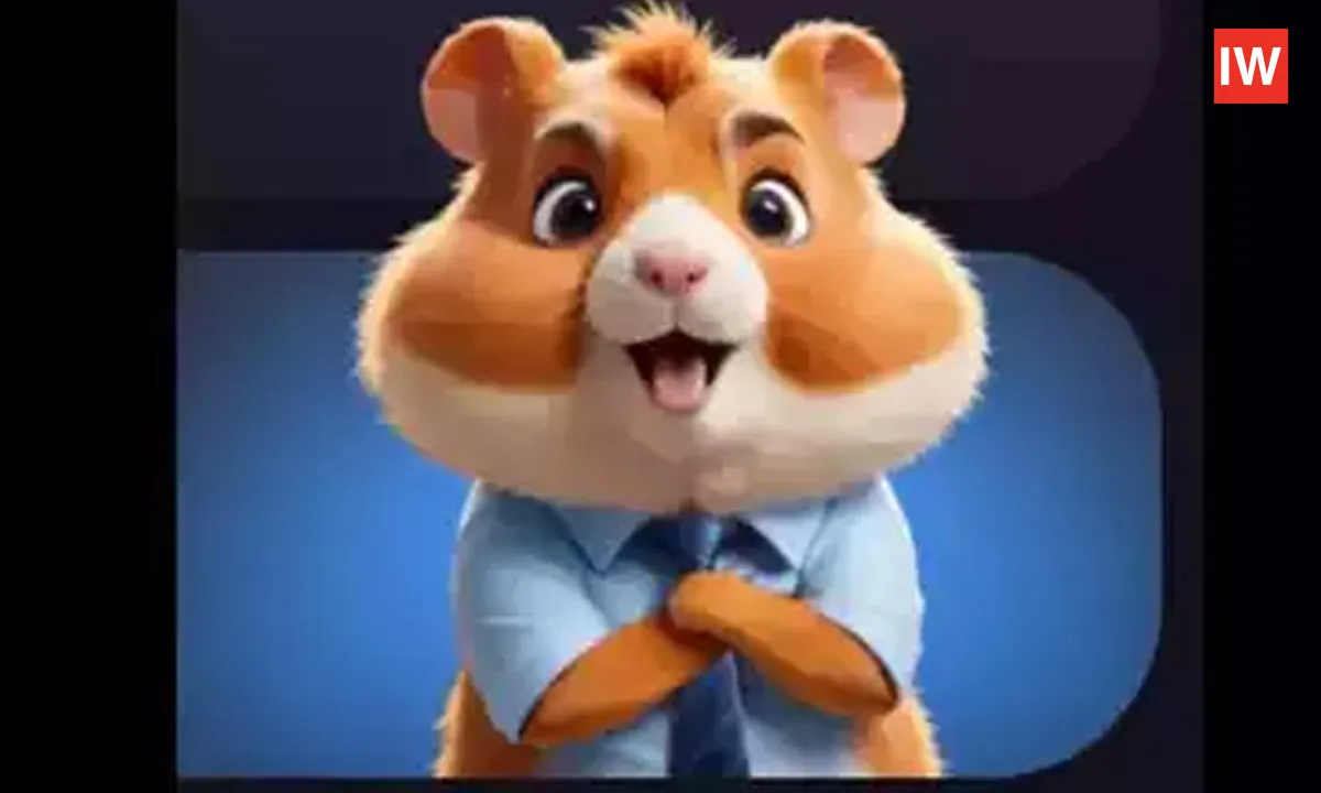 Today's-Hamster