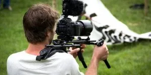 publive-image