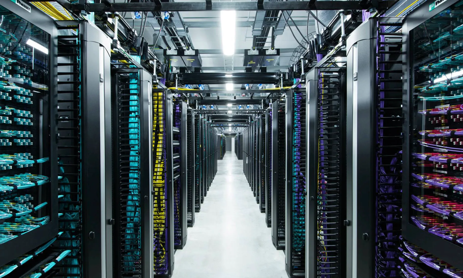 publive-image