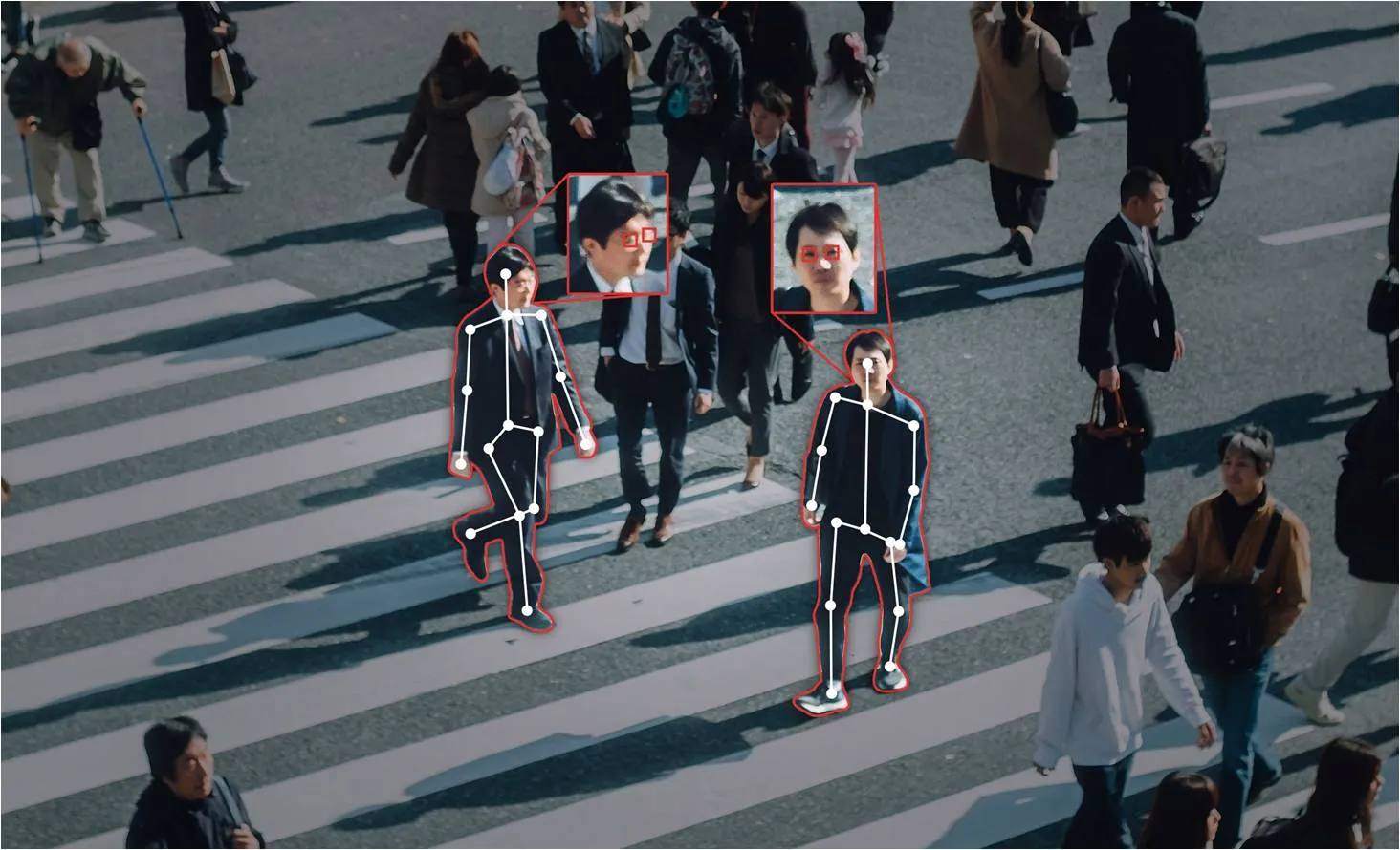 publive-image