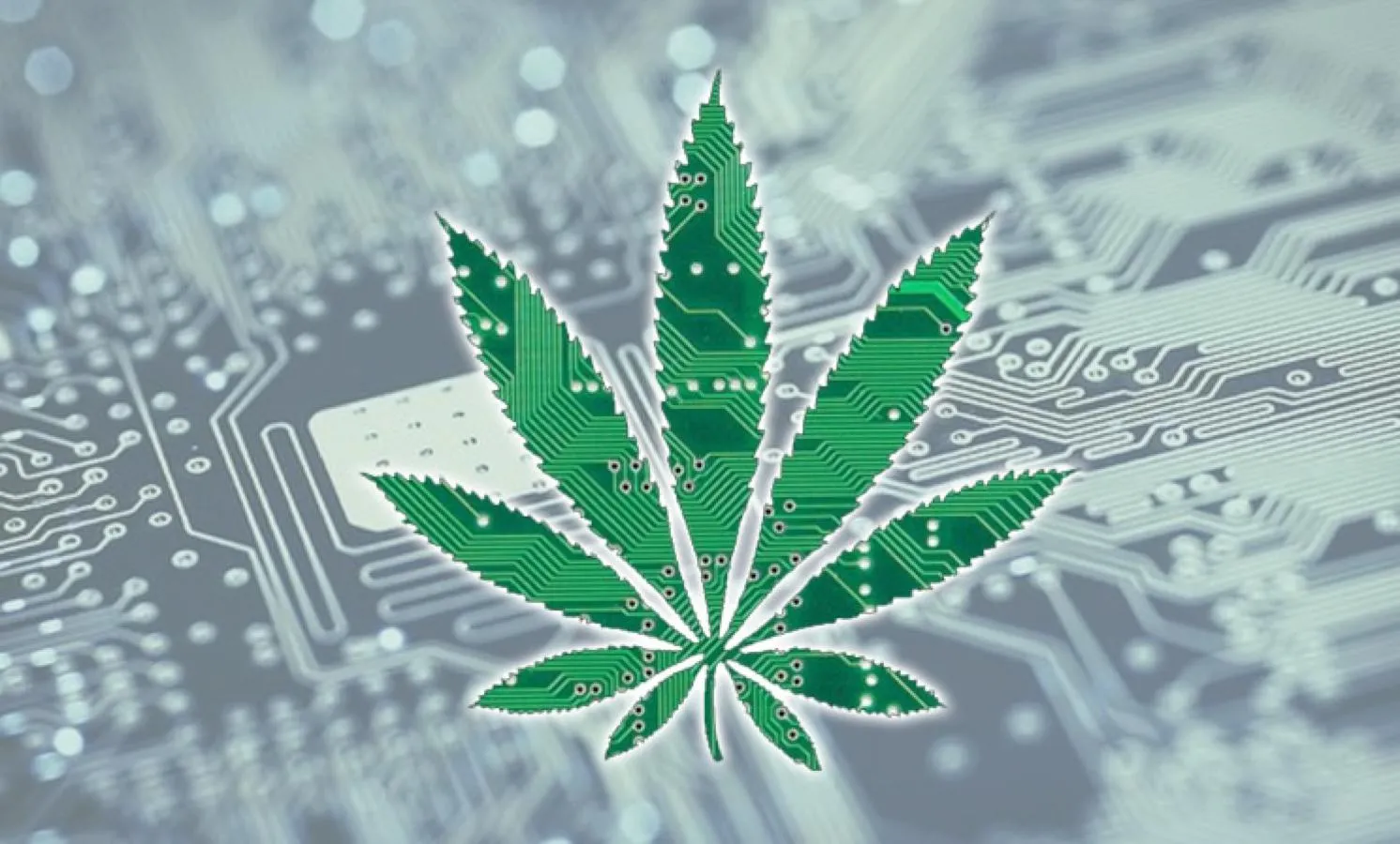 Cannabis Tech