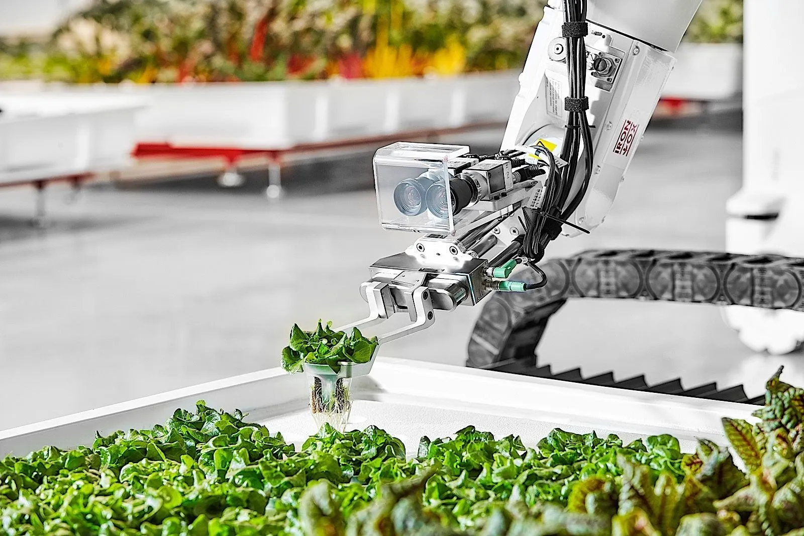 farming