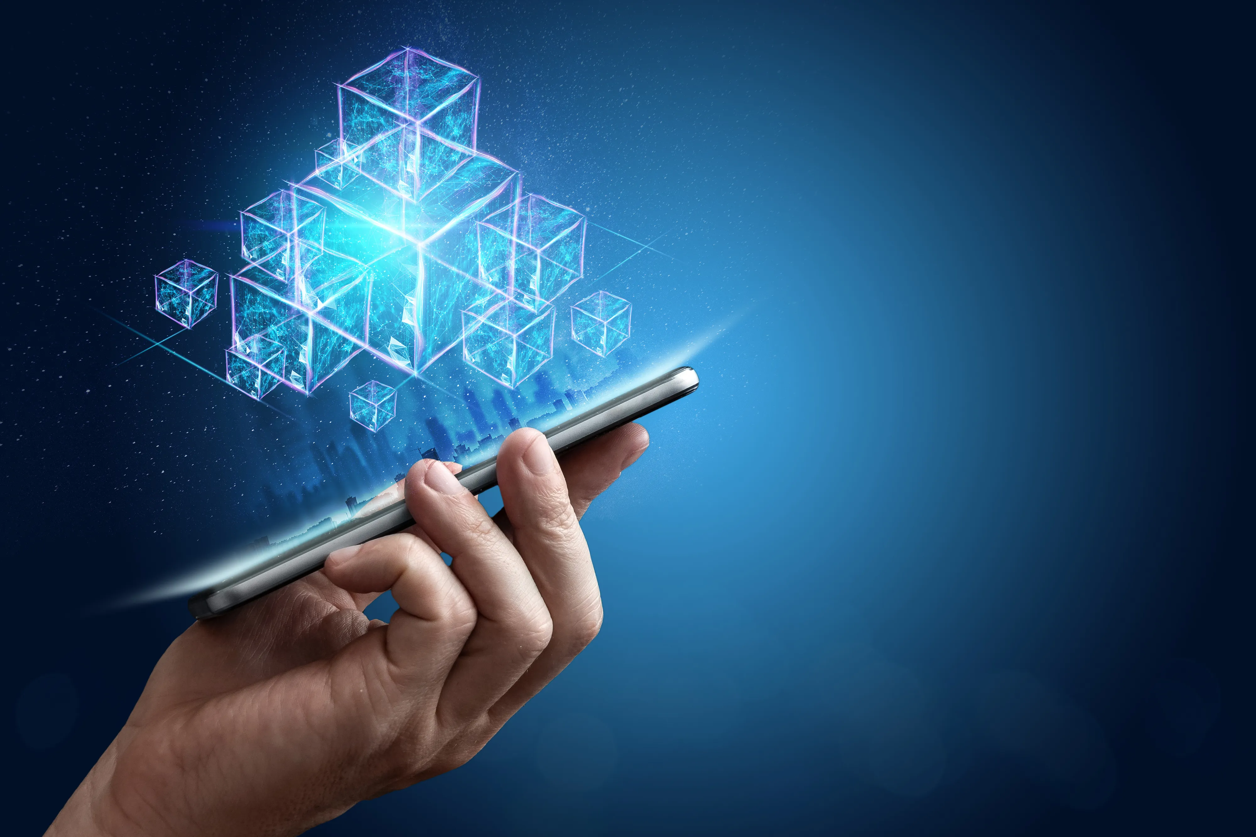 Blockchain Developer