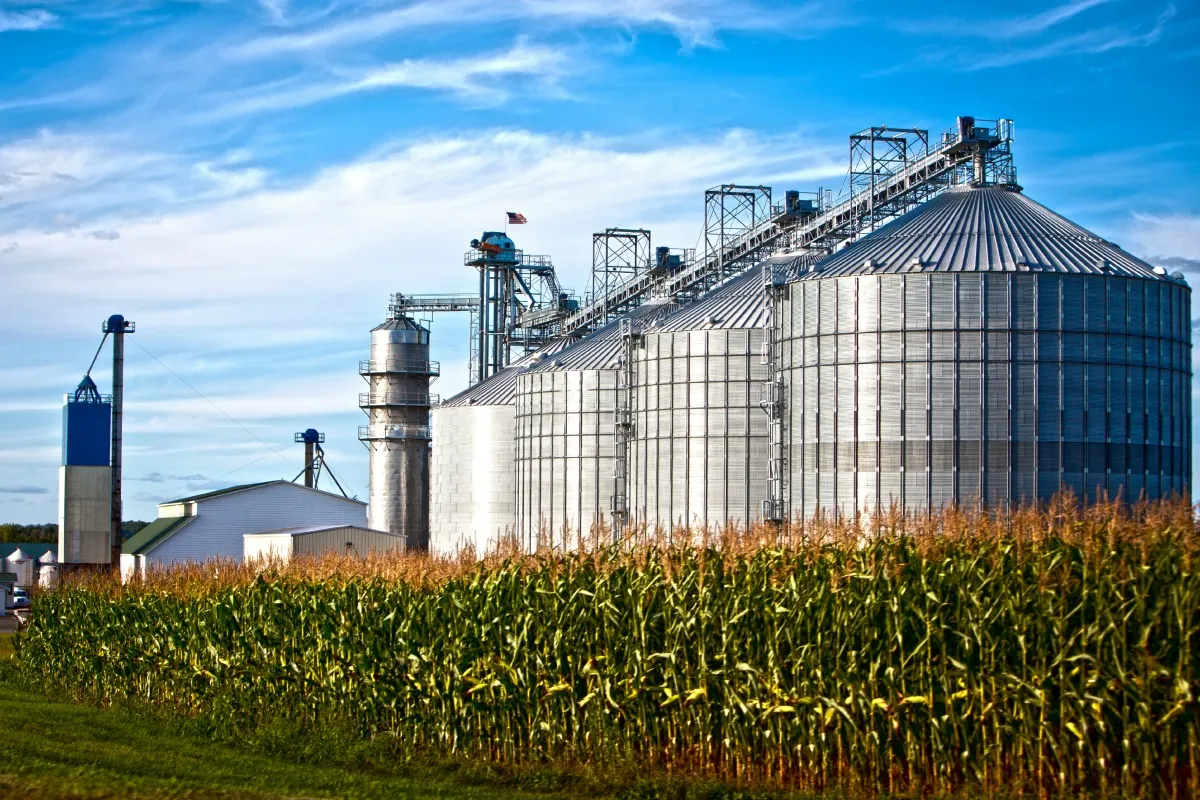 Biofuels