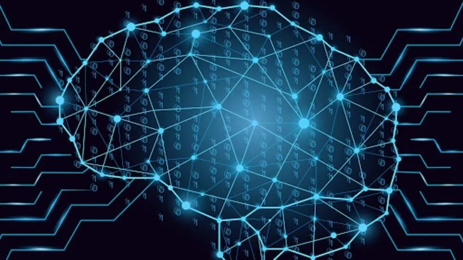 Network effects