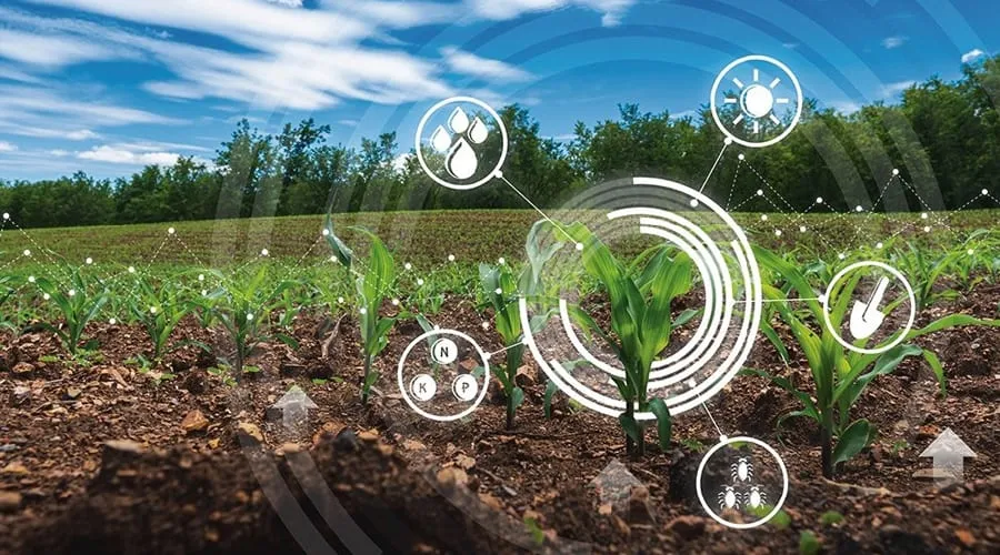 agriculture