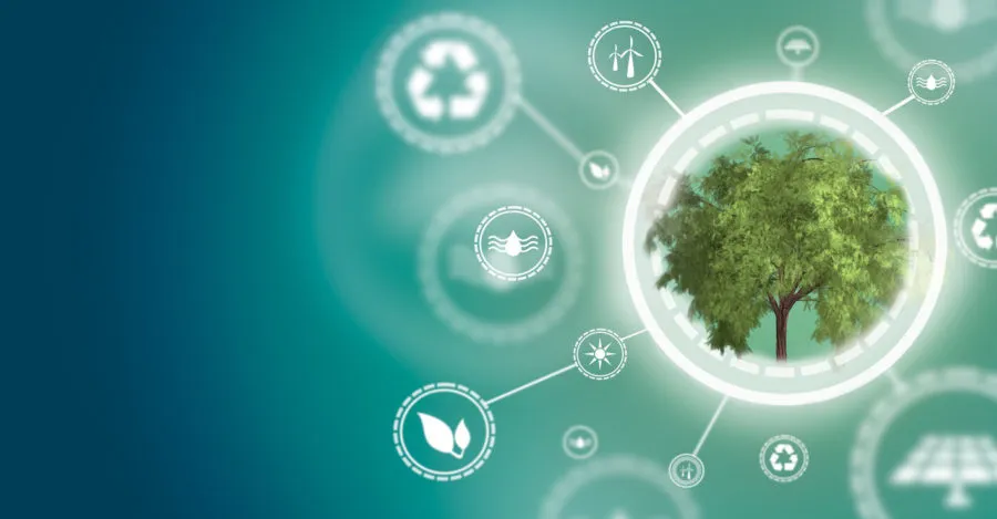 Circular Economy