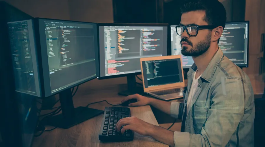 IT professionals