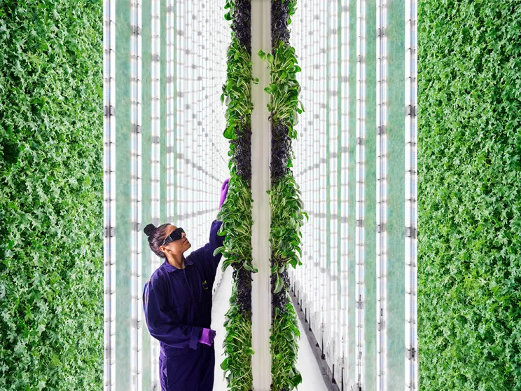 vertical farming