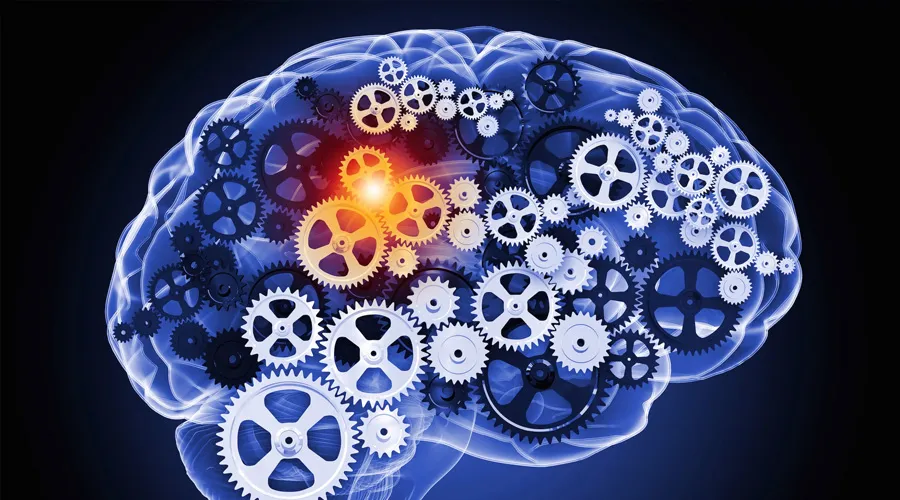 Hybrid artificial intelligence