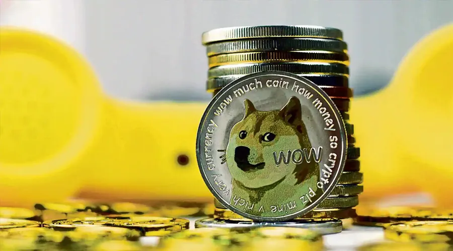 Shiba Inu