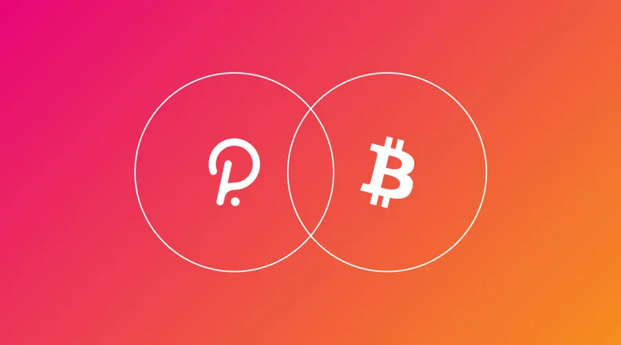 Bitcoin vs Polkadot 