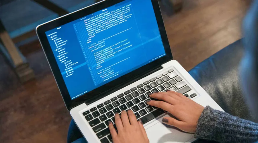 Software developer jobs 