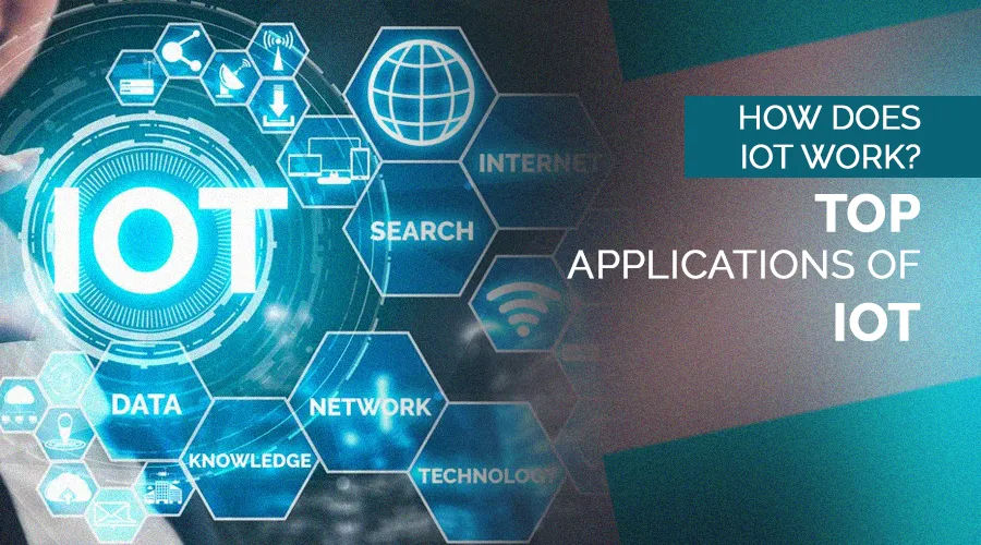 IoT