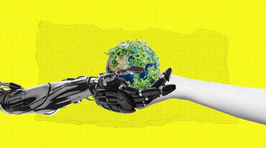Environmental Sustainability