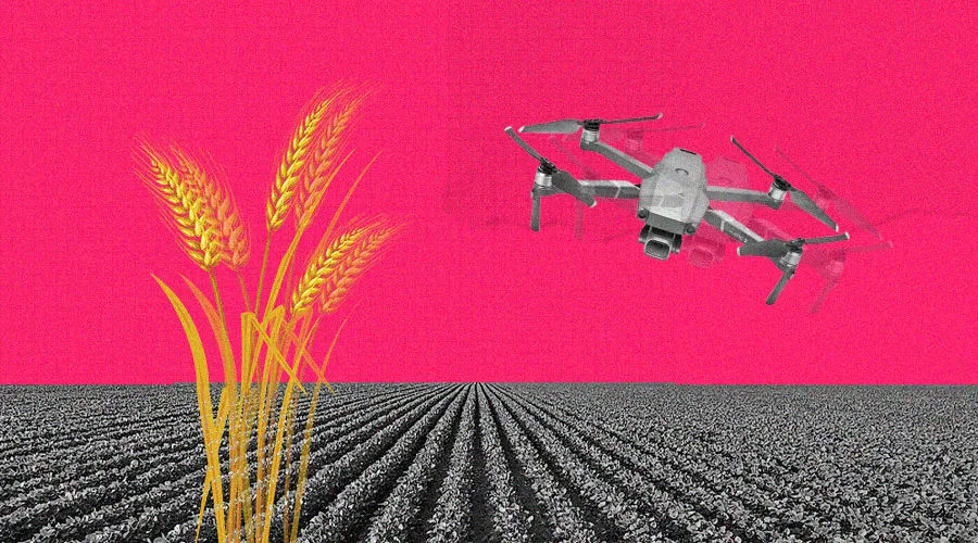 Top Funding in Agritech Startups