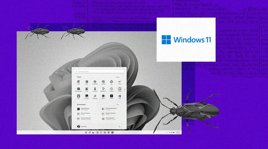Windows 11