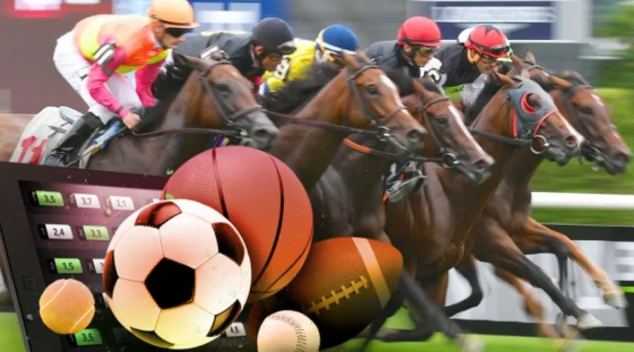 Sportsbook