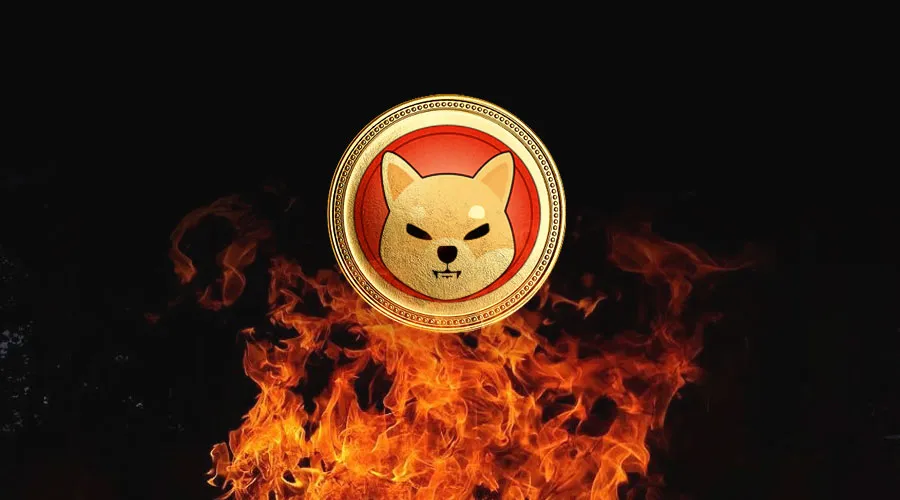 Shiba Inu 