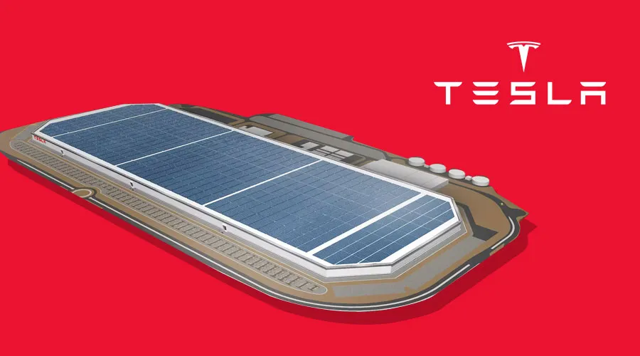 Tesla CEO