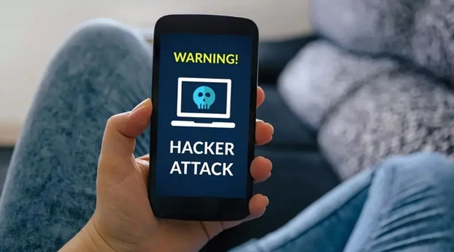Cybercrimes