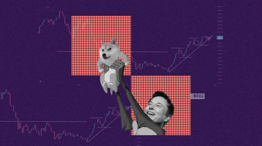 Doge