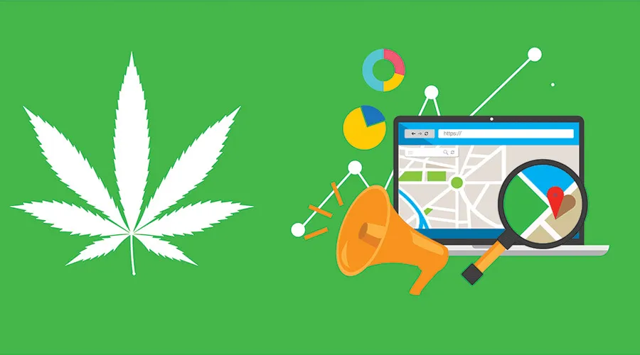 What is Cannabis SEO and How Does It Work?