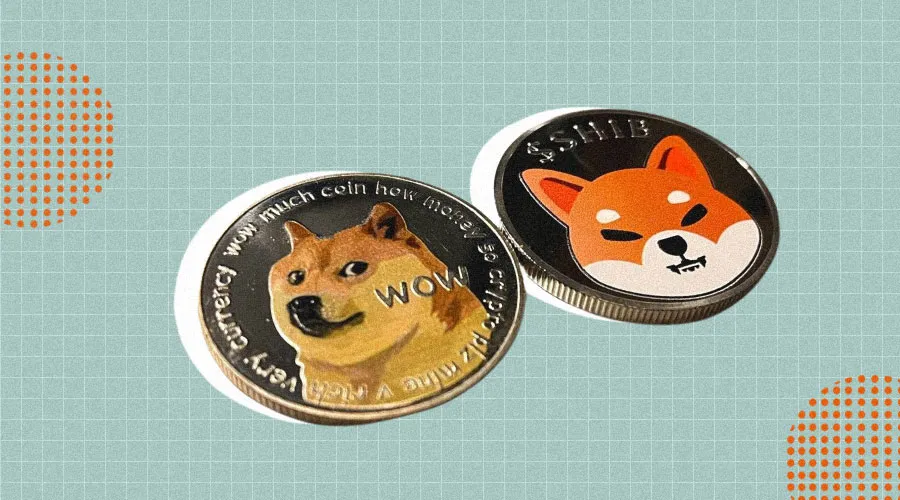 Shiba Inu