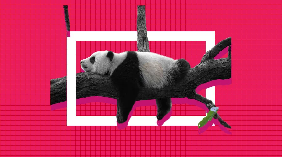 PandaDAO: You are Looking at The Future of Community NFTs