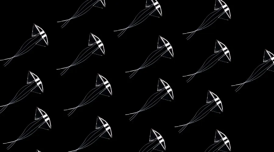 Swimming-Soft-Robots-Inspired-by-Biomechanics-of-Manta-Ray