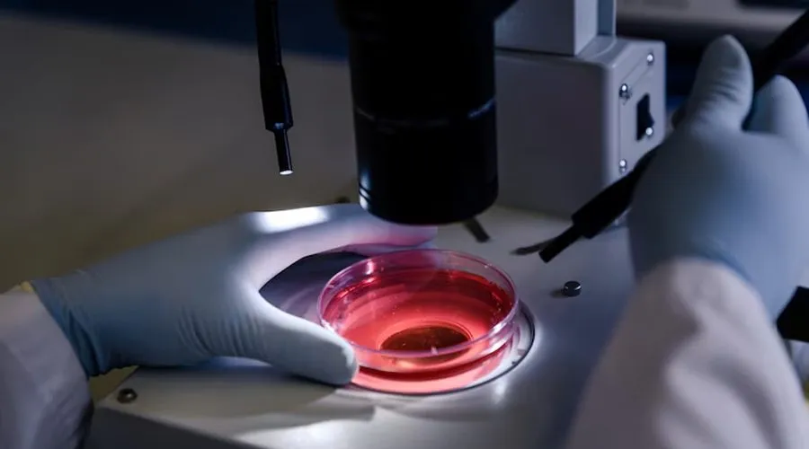 Latest Advances in Cancer Research