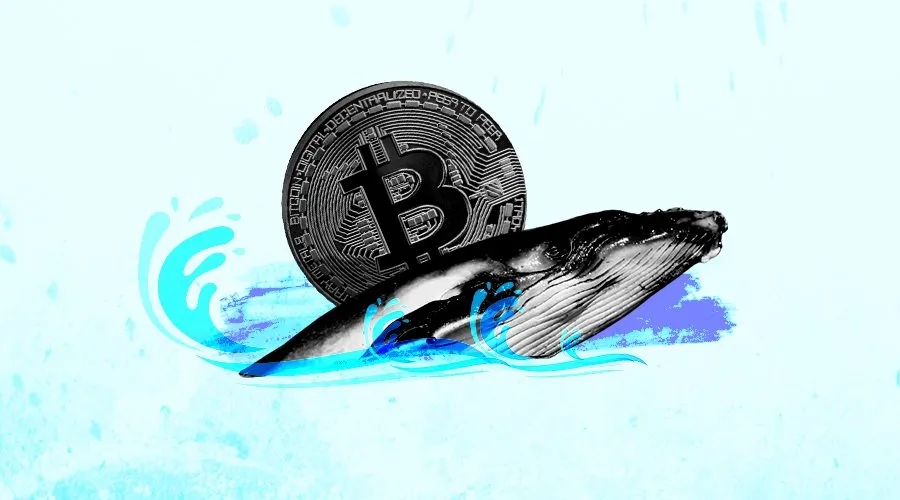 Price-Analysis-Where-is-Bitcoin-Moving-Next-with-Whales-Gathering