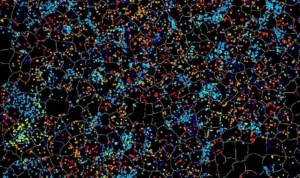 Spatial Transcriptomics