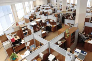 Employee Productivity