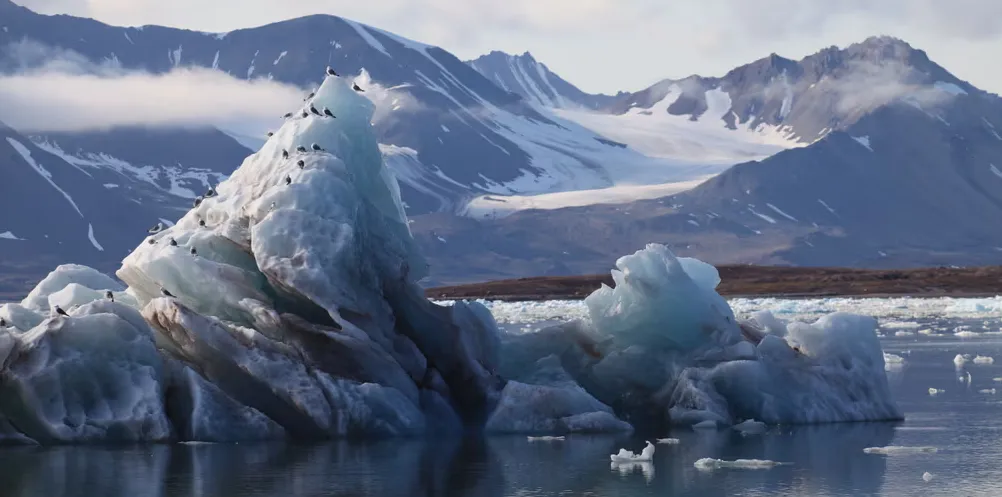 antartica