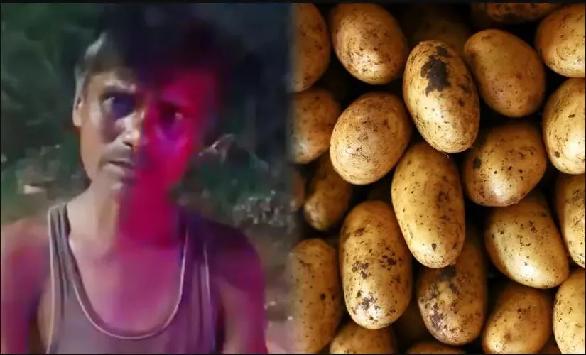 Poo