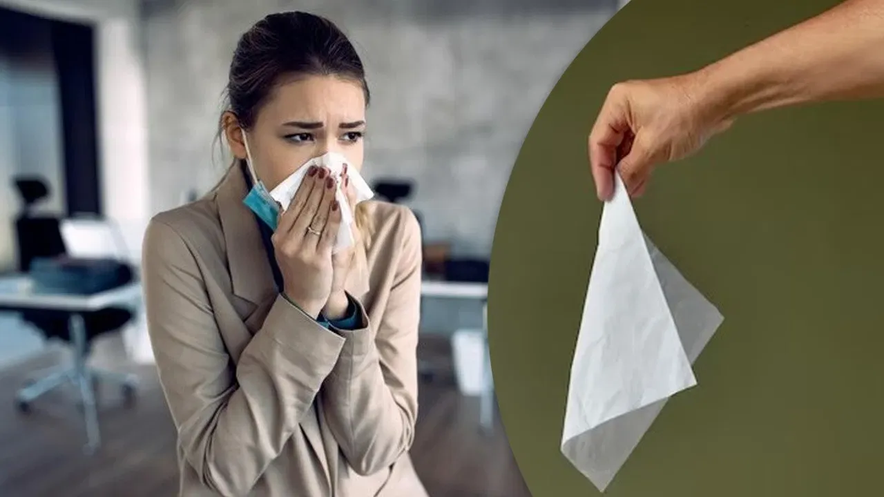 tissue-or-handkerchief 