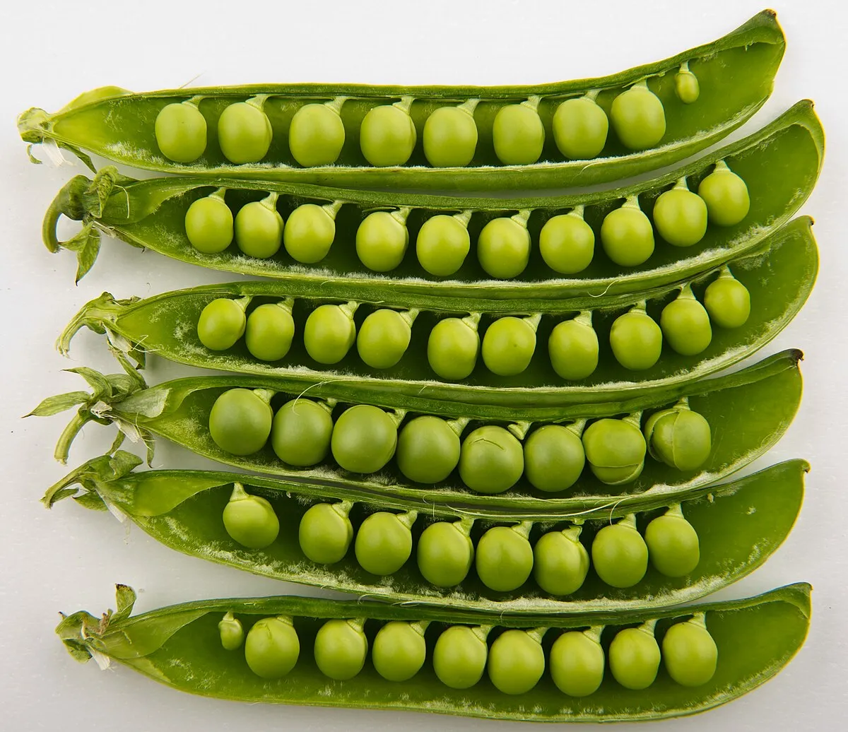 Peas_ 