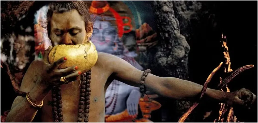 Naga-Sadhus Maha 