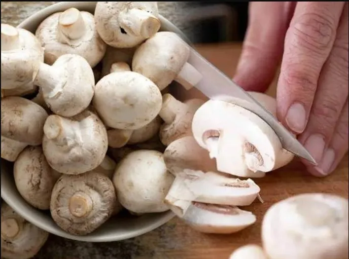 Mushroom