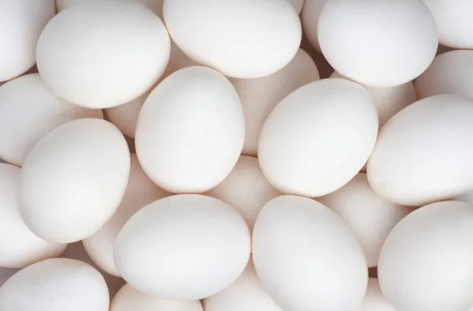 Farm Egg