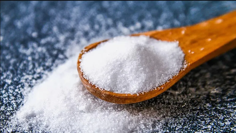 salty 