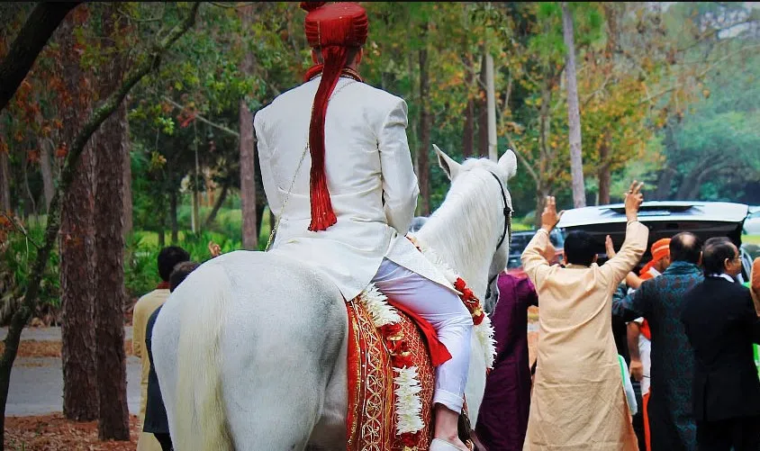 groom bride
