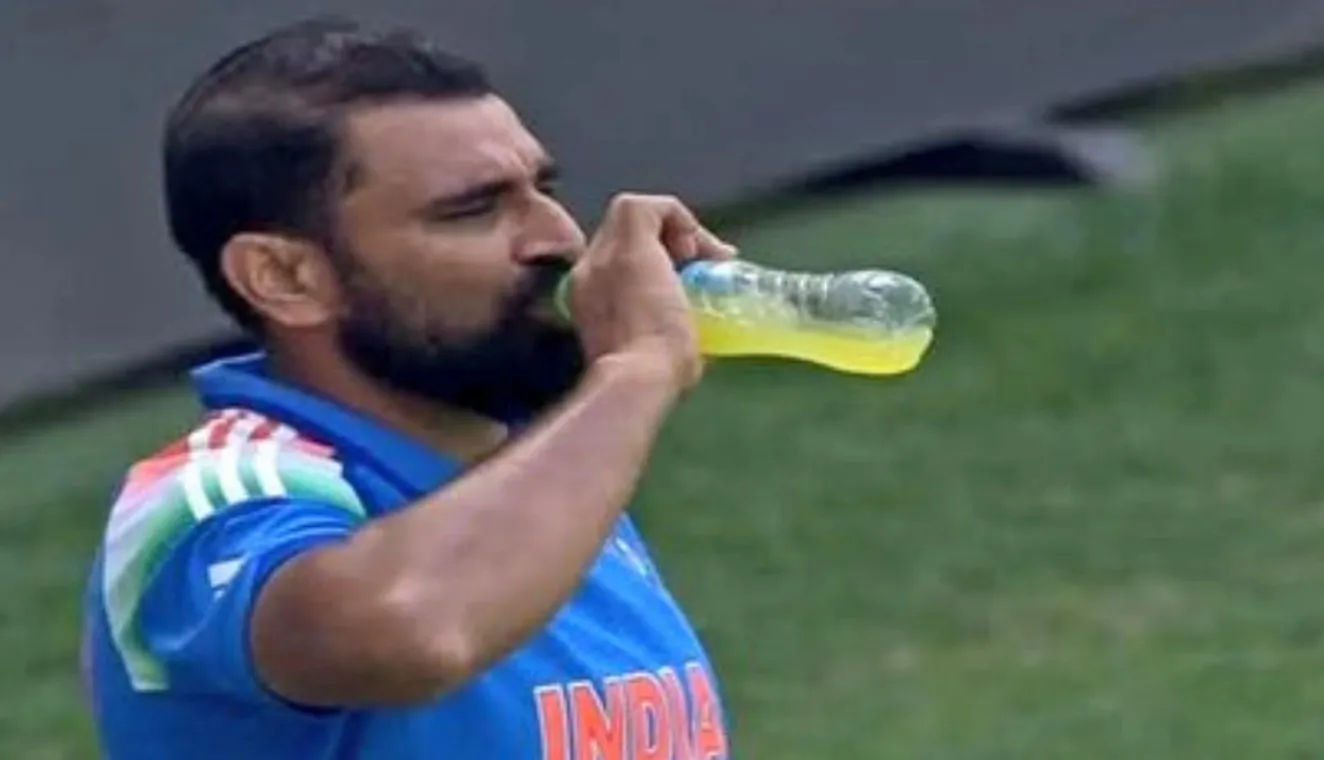 shami