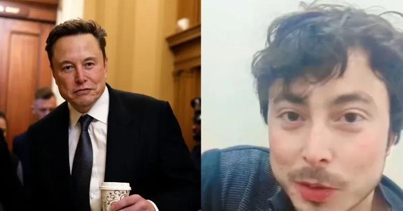 musk 323