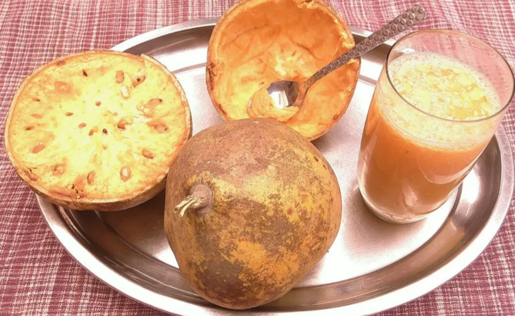 bela pana