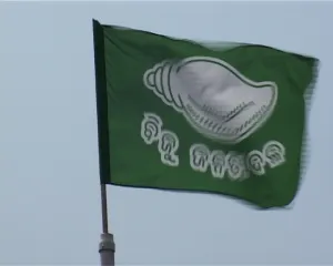 bjd