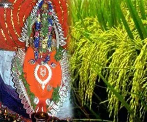 nuakhai festival