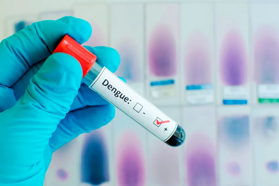 dengue