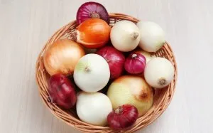 1onion